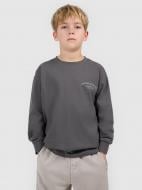 Футболка 4F LONGSLEEVE M535 4FJWSS26TLONM535-22S коричневый