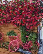 Картина по номерам Отдых в Бельгия Идейка