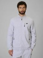 Джемпер 4F SWEATSHIRT M2547 4FWMM00TSWSM2547-27M р.L серый