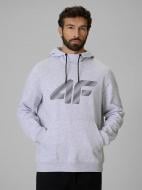 Джемпер 4F SWEATSHIRT M2548 4FWMM00TSWSM2548-27M р.L сірий