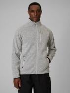 Джемпер 4F FLEECE M443 4FWSS26TFLEM443-27M р.L серый