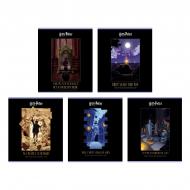 Тетрадь Harry Potter 48 лист. клетка HP26-259 KITE