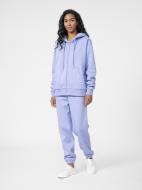 Штани 4F 4FSS23TTROF148-52S р. 2XL фіолетовий