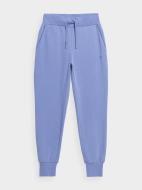 Штани 4F TROUSERS CAS F229 4FSS23TTROF229-32S р. XL синій