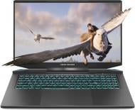 Ноутбук Dream Machines 17,3" (RG3050TI-17UA38) black