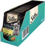 Корм влажный для котят Sheba с курицей в соусе 28 шт. 85 г Корм влажный для котят Sheba с курицей в соусе 28 шт. 85 г