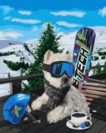 Картина за номерами Сноубордист Ідейка