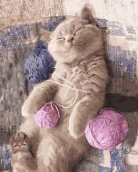 Картина по номерам Клубочек счастья Идейка