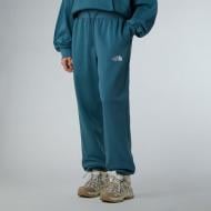 Брюки THE NORTH FACE W ESSENTIAL RELAXED STRAIGHT JOGGER NF0A8C1GBQ51 р. L голубой