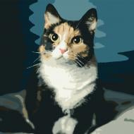 Картина по номерам Трехцветное счастье 954022 40x50 см Santi