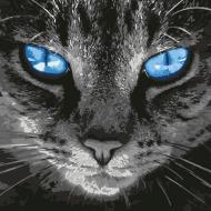 Картина по номерам Пронзительный взгляд Идейка