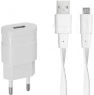 Зарядний пристрій RivaCase VA4111 WD1 (White)