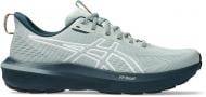 Кроссовки мужские демисезонные Asics GT-1000 14 TR 1011C131-300 р.44 зеленые