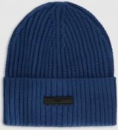 Шапка 4F 4FWAW26ACAPM0850-31S