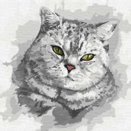 Картина по номерам Зеленоглазый взгляд Идейка