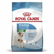 Корм сухой для взрослых собак для малых пород Royal Canin MINI STARTER 1 кг (домашняя птица, рис, кукуруза) 1 кг