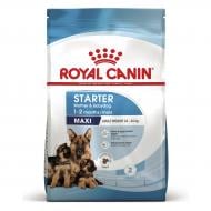 Корм сухой для щенков для крупных пород Royal Canin MAXI STARTER 4 кг (кукуруза, рис) 4 кг