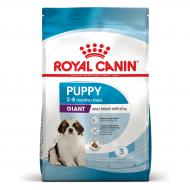 Корм сухой для щенков для крупных пород Royal Canin GIANT PUPPY 15 кг (кукуруза, рис) 15 кг