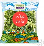 Микс салатный vita mix 100 г