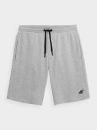 Шорти 4F 4FSS23TSHOM156-27M р. M сірий Шорти 4F 4FSS23TSHOM156-27M р. M сірий
