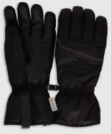 Варежки 4F FNK M251 4FWAW26AFGLM251-20S р.M черный