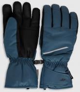 Варежки 4F FNK M249 4FWAW26AFGLM249-22S р.M серый