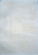 Ковер Moldabela Velure 1039-62200 0,8х1,5 м