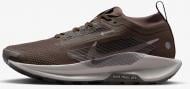 Кроссовки женские демисезонные Nike Pegasus Trail 5 GORE-TEX FQ0912-012 р.40,5 коричневые