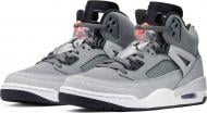 Кросівки чоловічі Jordan SPIZIKE 315371-008 р.41 сірі