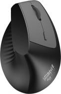 Мышка беспроводная Ajazz i-300 Black (i300-B)