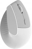 Мышка беспроводная Ajazz i-300 White (i300-W) Мышка беспроводная Ajazz i-300 White (i300-W)