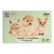 ВИТРИНА! Альбом для рисования KIDS Line Friends А4 20 листов на пружине мятный ZiBi