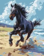 Картина по номерам Благородный скакун 11703-AC 40х50 см ART CRAFT