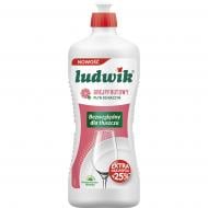 Бальзам для ручного мытья посуды Ludwik Грейпфрут 0,9 л