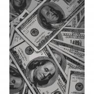 Картина по номерам Money 12024-AC 40х50 см ART CRAFT Картина по номерам Money 12024-AC 40х50 см ART CRAFT
