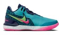 Кроссовки мужские демисезонные Nike Z LEBRON NXXT GEN APD FJ1566-300 р.43 разноцветные