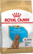 Корм сухой Royal Canin Poodle Puppy 500 г