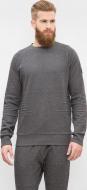 Джемпер Preppy PMSPOORI0006-2300 р. 2XL серый