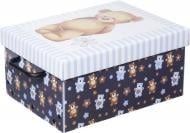 Скриня картонний Miss Space із кришкою Orsacchiotto Azzurro 160x250x330 мм
