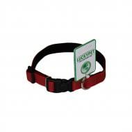 Ошейник Lucky Pet из прорезиненной ленты подшитый 2,0/35-45 красный