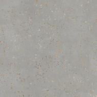 Плитка TAU Ceramica CEPPO DI GRE SILVER 120x120