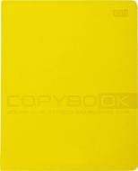 Тетрадь-словарь для записи иностранных слов лимонный YES