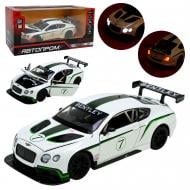 Автомодель Автопром 1:24 Bentley Continental GT3 Concep 68266A
