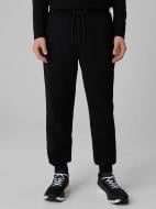 Брюки 4F TROUSERS CAS M1676 4FWMM00TTROM1676-20S р. L черный