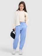 Брюки 4F TROUSERS CAS F1502 4FJWSS26TTROF1502-33S р. 140 синий