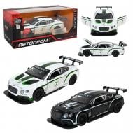 Автомодель Автопром 1:32 Bentley Continental GT3 68353