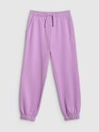 Брюки 4F Trousers Cas F1489 4FJWSS26TTROF1489-51S р. 140 фиолетовый