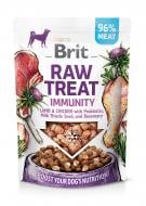 Лакомство Brit Raw Treat freeze-dried Immunity для иммунитета ягненка и курица 40 г