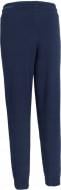 Брюки 4F Trousers Cas F1658 4FWMM00TTROF1658-31S р. S синий
