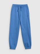 Брюки 4F TROUSERS CAS M1437 4FJWSS26TTROM1437-22S р. 140 серый Брюки 4F TROUSERS CAS M1437 4FJWSS26TTROM1437-22S р. 140 серый